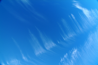 Image Concealment Films - MH Studios